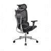 lux ergonomic chair