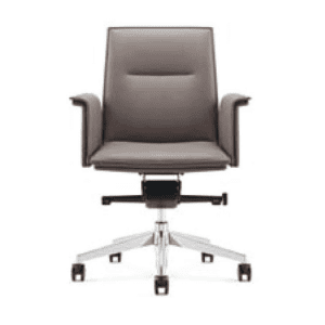 Phoenix Meeting Chair