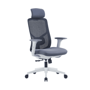 Aero Ergonomic Chair